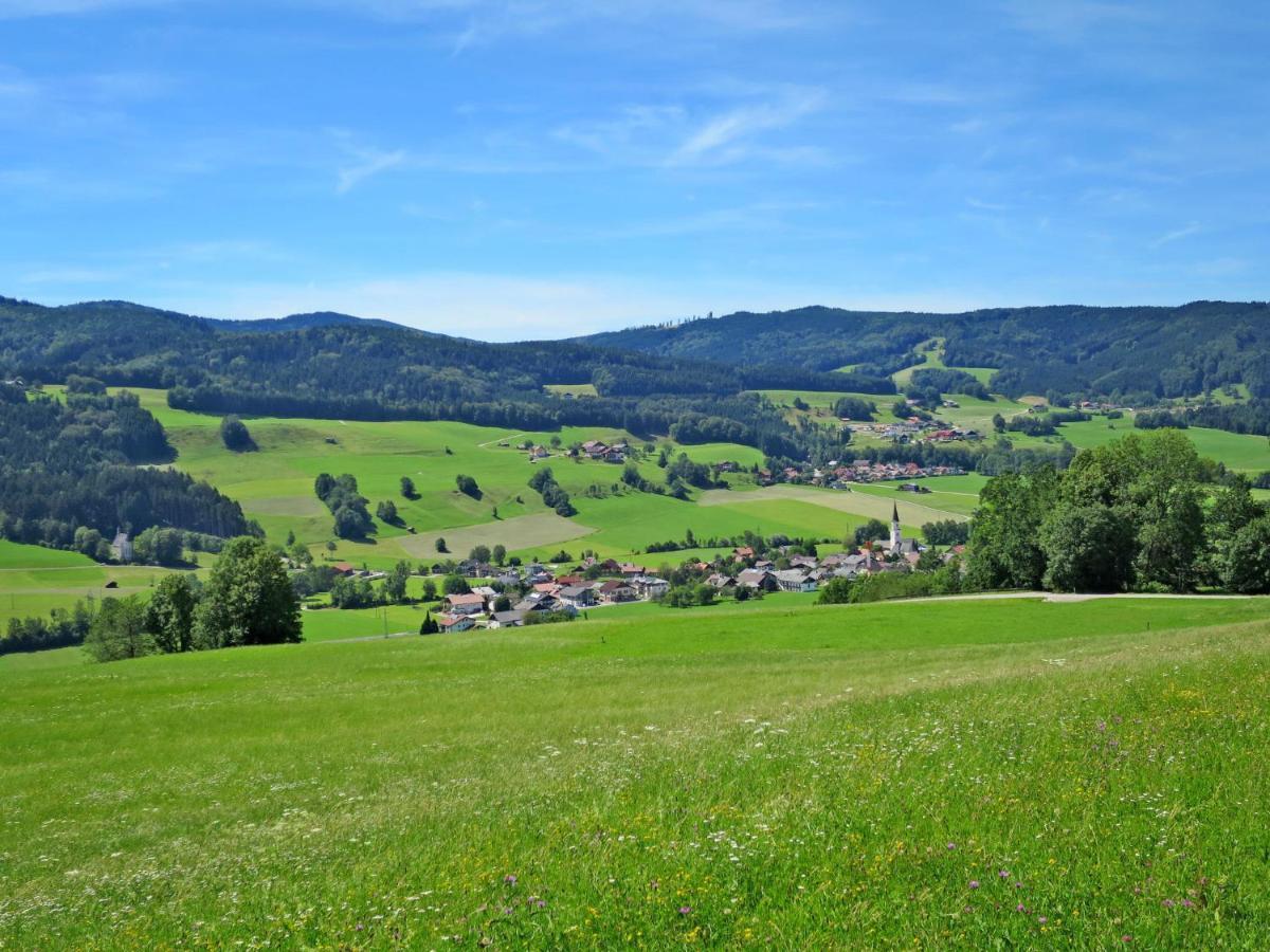 Holiday Home Mayrhofer - Mon240 By Interhome Oberwang Exteriér fotografie
